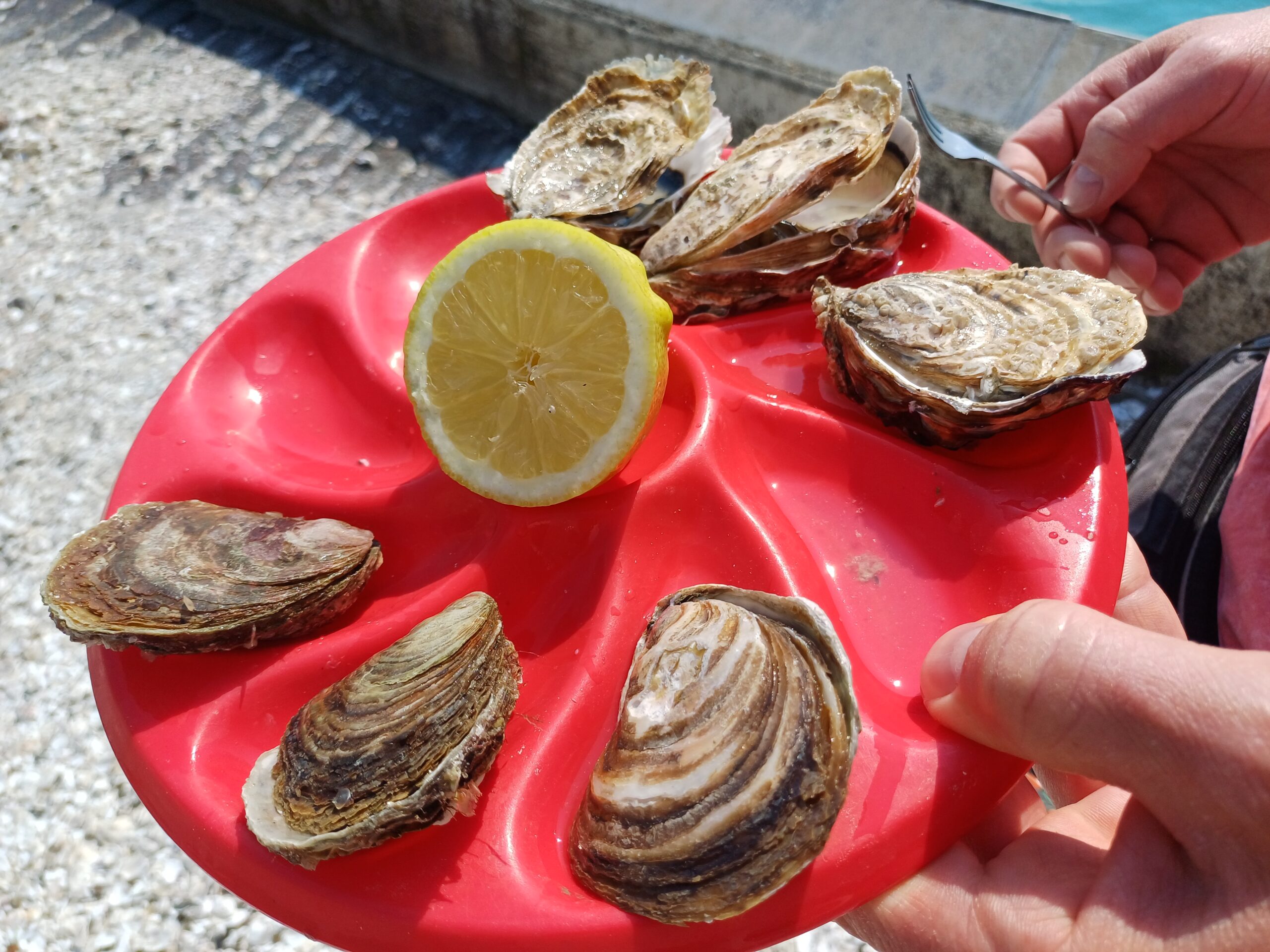 Kleine schlüpfrige Scheißerchen – Austern aus Cancale